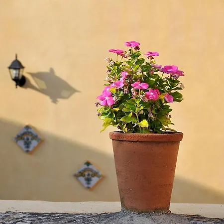 Il Giardino Del Barocco Noto
